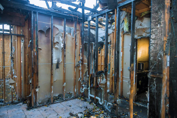 Professional Smoke Damage Restoration technician working in Hamburg, MN